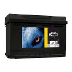 Universal 60 Amper Aku Standart Güçlü 60AH-540 Cca Marellı 242×175X190 (Inci Akü Üretim)