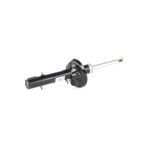 Universal AMORTISOR ON SAG FORD FOCUS (98-04)