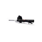 Universal AMORTISOR ON SOL FORD FOCUS (98-04)