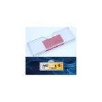 Universal Hgs Kabı (Yeni Etikete Göre 10,25 Cm)