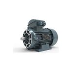 Universal Volt Elektrik Motoru 0,55 Kw 4p 1500 D/d Trf.80 2/4V Ie2 B3 Yy