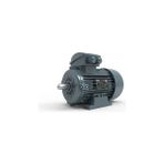 Universal VOLT ELEKTRİK MOTORU 5.5 KW 4P 1500 D/D TRF. 112 4/6V S3 75% YY (VOLV1EA112M4DB380YY)