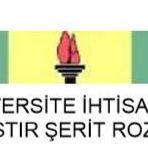 Üniversite İhtisas Ve Mastır Şerit Rozeti
