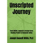 Unscripted Journey: From Mobile, Alabama's Orange Grove Housing Project to Corporate Suites