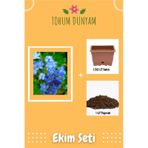 Unutma Beni Çiçeği Tohumu Ekim Seti