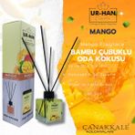 UR-HAN Cosmetics Mango Bambu Çubuklu Oda Kokusu 100 ml Cam Şişe