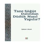 Uravas Store Taze Söğüt Dalından Düdük Nasıl Yapılır?