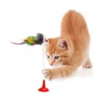 Uray Toptan Vantuzlu Kedi Oyuncağı - Fare Yakalama Oyuncağı
