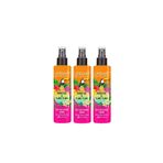 Urban Care Summer-monoi Yağı&ylang Ylang Güneş Koruyucu Sıvı Saç Bakım Kremi-vegan-3x200ml