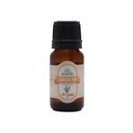 URLA NATURA Zerdeçal Yağı (Curcuma longa) %100 Saf ve Doğal 10 ml