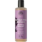 Urtekram Maximum Shine Lavender 250 ml Şampuan