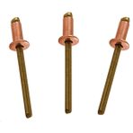 USA Fittings 100 Bakır Pop Perçin 1/8 Çap Pirinç Mandrel Kör Perçin Kubbe Başlı 4-4 (1/8" Çap x 1/4" Kavrama) Adet 100