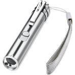 USB Şarj Edilebilir Pet Oyuncaklar Kedi Eğitim Lazer Pointer LED El Feneri ile (Yurt Dışından) - Gümüş
