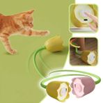 USLUCAN ALIŞVERİŞ Hareketli Çiçek Kedi Oyuncağı