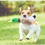 USLUCAN ALIŞVERİŞ Sesli Ördek Şekilli Peluş Köpek Oyuncağı