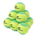 USR Forest 12'li Tenis Antrenman Topu