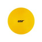 USR GB254 25 cm Mini Pilates Topu