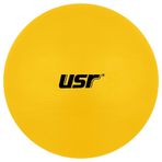 USR GB654 65 cm Sarı Pilates Topu