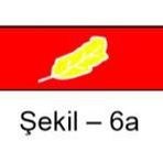 Üstün Başarı Kıdemi (erken Terfi) Şerit Rozeti