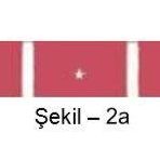 Üstün Birlik Yetiştirme Şerit Rozeti