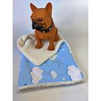 Utd Pet Fluffy Kedi Köpek Battaniyesi/yer Matı 60X50CM - Mavi - 50 x 60 cm