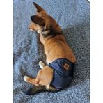 Utd Pet Lacivert Pedli Yıkanabilir Dişi Köpek Çiş ve Regl Külodu