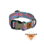 Utdpet Donut Köpek Boyun Tasması