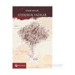 Uyduruk Yazılar - surku bilgic