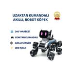 Uzaktan Kumandalı Akıllı, Eğitici Robot Köpek -1627
