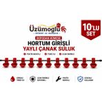 üzümoglu 10 adet Hortum Girişli Yaylı Çanak Suluk Otomatik Tavuk Civciv Suluk Sistemi Kümes İçin Profesyonel Set