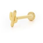 Uzun Boy Kaktüs Model Tragus Piercing