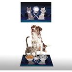 Vagonik Water Food Ay Desenli 35x50 cm Kedi Köpek İç ve Dış Kapı Mama Paspası