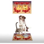 Vagonik Water Food Uzak Doğu Desenli 35x50 cm Kırmızı Kedi Köpek İç ve Dış Kapı Mama Paspası