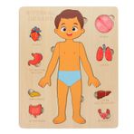 Vaguelly 1 Takım Insan Vücudu Bulmaca Çocuk Anatomisi Oyun Seti Vücut Parçaları Organlar Kaslar Ahşap Yapboz Oyuncakları Okul Öncesi Oyun Öğrenme İnsan Vücudu Parçaları Anatomisi 3+ Yaş