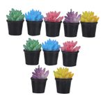 Vaguelly 10 Adet bebek evi bitkileri ev aksesuarları Mini ev süs bitkileri Mini bahçe aksesuarları Minyatür model merdiven aksolot paket oyuncak ev küçük şeyler minyatür bitkiler yapay pvc