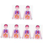 Vaguelly 6 Takım Çocukların insan vücudu öğretim yardımcıları insan anatomisi tablosu evde eğitim malzemeleri çocuk manken oyuncak modeller organ modeli insan öğretim yardımı bulmaca kumaş