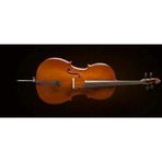 Valencıa Ce160f44 Valencıa Ce160f44 Cello, French Style, 4/4