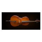 Valencia Cello +Kılıf+Yay, German Sys, Scale 1/4, Karartılm