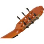 Valencia CGLTD2 Klasik Gitar LIMITED2 4/4 Naturel Mat