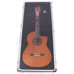 Valencia Dsc420 Akustik Gitar Teşhir Çantası | Şeffaf Ön Yüzey - Alüminyum Çerçeve - Mağaza Tipi