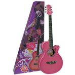 Valencia GRA1KCPP Gypsy Rose Mor Akustik Gitar Set