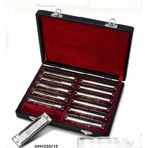 Valencia HM1020-12 12'li Mızıka Set