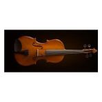 Valencia VA16041 Viola Kutulu 16" (40,64CM) Yay, Reçine