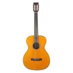 Valencıa Va434vna Valencıa Va434na Klasik Gitar, 4/4