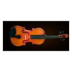 Valencia Valencıa VA40040 Viyola Kutulu 16'' (40,64CM)
