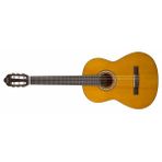 Valencıa VC204L Kılıf ve Penalı Solak Klasik Gitar
