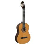 Valencia VC264 Antik Parlak 4/4 Klasik Gitar