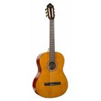Valencia VC264H Klasik Gitar