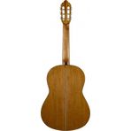 Valencia VC404 Kılıf ve Penalı Klasik Gitar