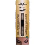 Valensey 10 ml Kaş Kirpik Bakım Yağı
